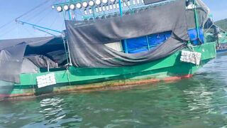 Линшуй, Хайнань — рыбацкая деревня: ловим и пробуем свежих морских ежей