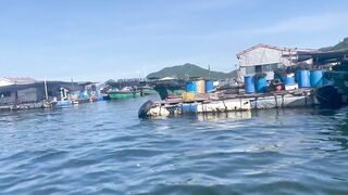 Линшуй, Хайнань — рыбацкая деревня: ловим и пробуем свежих морских ежей