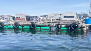 Линшуй, Хайнань — рыбацкая деревня: ловим и пробуем свежих морских ежей