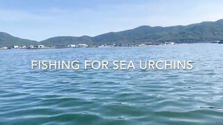 Линшуй, Хайнань — рыбацкая деревня: ловим и пробуем свежих морских ежей