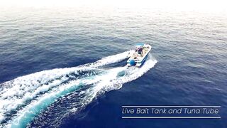 Фетхие-Олюдениз — чартер на спортфишинге: снасти, троллинг и трофеи