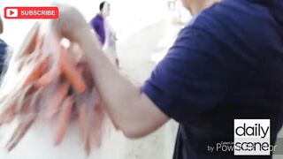 Санья Бэй, Хайнань — студенческий выезд: берег, снасти и первая поклевка