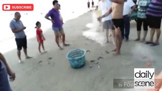 Санья Бэй, Хайнань — студенческий выезд: берег, снасти и первая поклевка