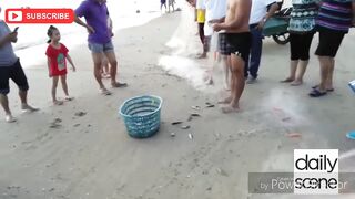 Санья Бэй, Хайнань — студенческий выезд: берег, снасти и первая поклевка