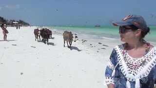 Занзибар — Джамбиани, Падже, Кизимкази: какой пляж выбрать рыболову