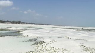 Занзибар — Джамбиани, Падже, Кизимкази: какой пляж выбрать рыболову