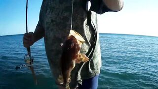 Симеиз рыбалка в Крыму охота за черноморской скорпеной с берега и с лодки