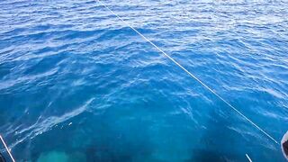 Пять дней морской рыбалки в Marsa Alam с берега и по кромке рифа Египет