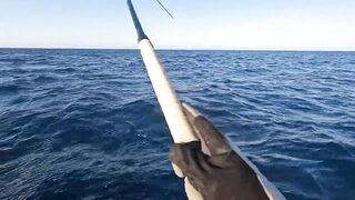 Пять дней морской рыбалки в Marsa Alam с берега и по кромке рифа Египет