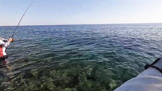 Пять дней морской рыбалки в Marsa Alam с берега и по кромке рифа Египет