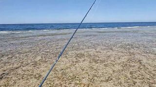 Пять дней морской рыбалки в Marsa Alam с берега и по кромке рифа Египет