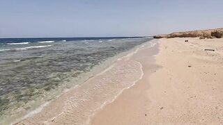 Пять дней морской рыбалки в Marsa Alam с берега и по кромке рифа Египет