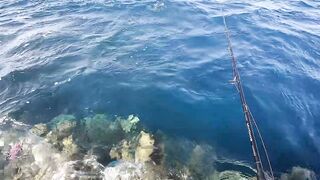 Пять дней морской рыбалки в Marsa Alam с берега и по кромке рифа Египет