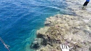 Пять дней морской рыбалки в Marsa Alam с берега и по кромке рифа Египет