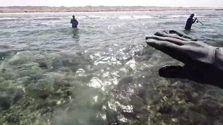 Пять дней морской рыбалки в Marsa Alam с берега и по кромке рифа Египет