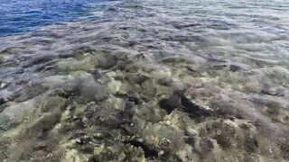 Пять дней морской рыбалки в Marsa Alam с берега и по кромке рифа Египет