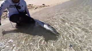 Пять дней морской рыбалки в Marsa Alam с берега и по кромке рифа Египет