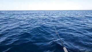 Пять дней морской рыбалки в Marsa Alam с берега и по кромке рифа Египет