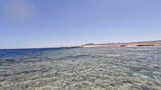 Пять дней морской рыбалки в Marsa Alam с берега и по кромке рифа Египет