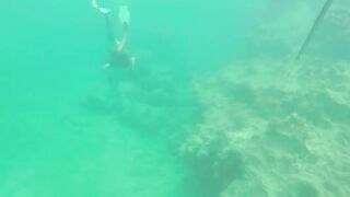 Las Terrenas подводная охота spearfishing приключение у рифов и встреча с океанскими трофеями