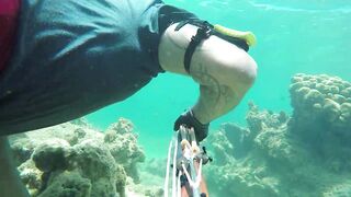 Las Terrenas подводная охота spearfishing приключение у рифов и встреча с океанскими трофеями