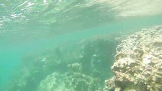 Las Terrenas подводная охота spearfishing приключение у рифов и встреча с океанскими трофеями