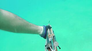 Las Terrenas подводная охота spearfishing приключение у рифов и встреча с океанскими трофеями