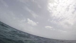 Las Terrenas подводная охота spearfishing приключение у рифов и встреча с океанскими трофеями