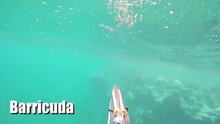 Las Terrenas подводная охота spearfishing приключение у рифов и встреча с океанскими трофеями