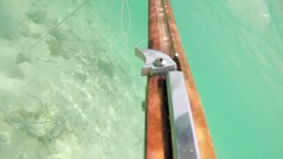 Las Terrenas подводная охота spearfishing приключение у рифов и встреча с океанскими трофеями