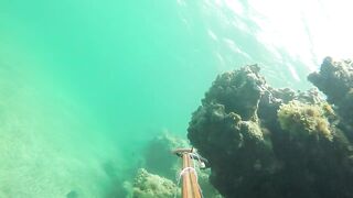 Las Terrenas подводная охота spearfishing приключение у рифов и встреча с океанскими трофеями