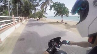 Las Terrenas подводная охота spearfishing приключение у рифов и встреча с океанскими трофеями