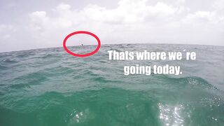 Las Terrenas подводная охота spearfishing приключение у рифов и встреча с океанскими трофеями