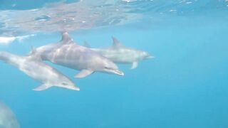 Занзибар - как выбрать регион лучшие пляжи приливы и отливы и виза в Танзанию