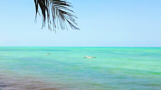 Занзибар - как выбрать регион лучшие пляжи приливы и отливы и виза в Танзанию