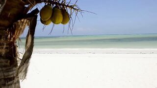 Занзибар - как выбрать регион лучшие пляжи приливы и отливы и виза в Танзанию