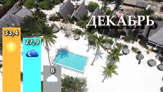 Занзибар - как выбрать регион лучшие пляжи приливы и отливы и виза в Танзанию