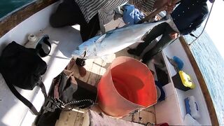 Морская рыбалка у берегов Александрии Египет trolling по свалам и рельефу Средиземного моря