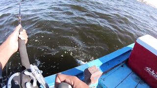 Морская рыбалка у берегов Александрии Египет trolling по свалам и рельефу Средиземного моря