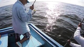 Морская рыбалка у берегов Александрии Египет trolling по свалам и рельефу Средиземного моря