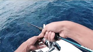 Морская рыбалка у берегов Александрии Египет trolling по свалам и рельефу Средиземного моря