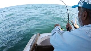 Морская рыбалка у берегов Александрии Египет trolling по свалам и рельефу Средиземного моря