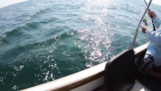 Морская рыбалка у берегов Александрии Египет trolling по свалам и рельефу Средиземного моря