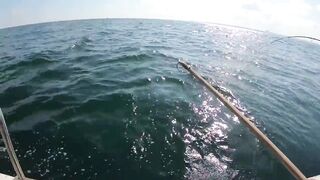 Морская рыбалка у берегов Александрии Египет trolling по свалам и рельефу Средиземного моря