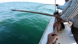 Морская рыбалка у берегов Александрии Египет trolling по свалам и рельефу Средиземного моря