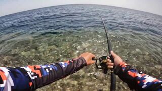 Red Sea Marsa Alam - погоня за скипджек тунцом с берега адреналиновое приключение