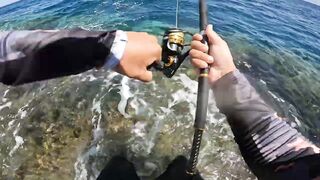 Red Sea Marsa Alam - погоня за скипджек тунцом с берега адреналиновое приключение