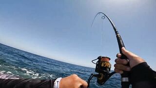 Red Sea Marsa Alam - погоня за скипджек тунцом с берега адреналиновое приключение