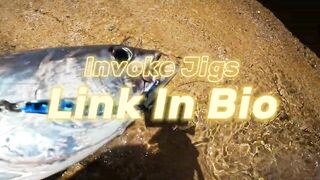 Red Sea Marsa Alam - погоня за скипджек тунцом с берега адреналиновое приключение