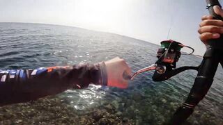 Red Sea Marsa Alam - погоня за скипджек тунцом с берега адреналиновое приключение